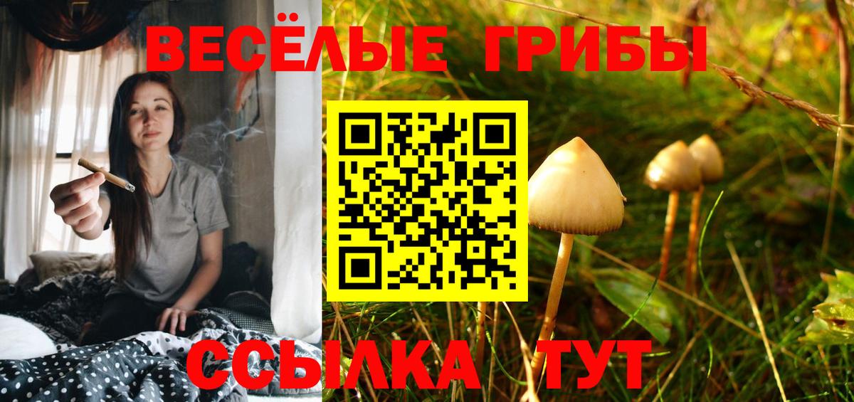 Псилоцибиновые грибы Magic Shrooms Мончегорск